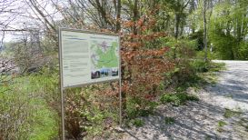 Im Eurasburger Forst