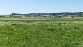 Sonnige Reischenau 1 n