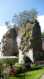 Otto-Schneider-Rundweg