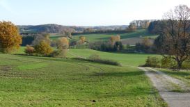 Stauden-Meditationsweg