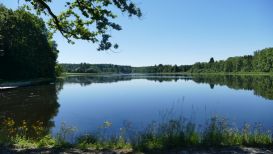 Stauden-Meditationsweg