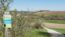 Hügelwanderung im Kesseltal