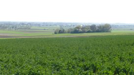 Kesseltal NaTourSüdschleife