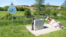 Kesseltaler Landwirtschaftserlebnis