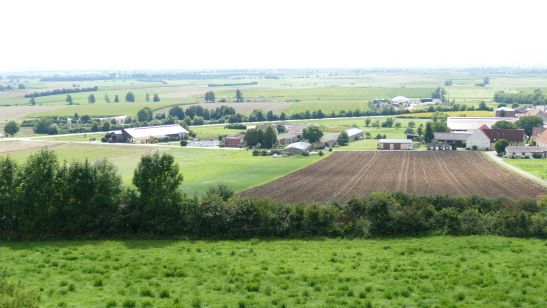 Kirche St. Ulrich Ehingen