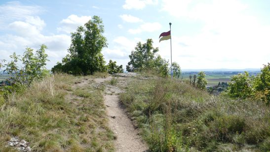 Wallersteiner Felsen