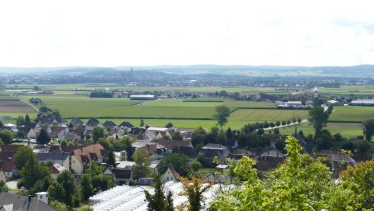 Wallersteiner Felsen