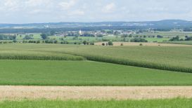 Kraterrunde Nördlinger Ries