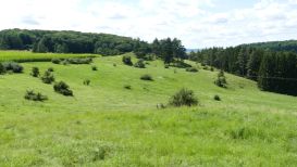 Im Kohlenbachtal bei Huisheim