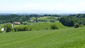 Wandertriol Allg Wieseng 22