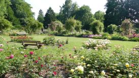 Glueckserlebnis Route