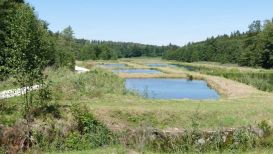 Schwaebisch Allgaeuer Wanderweg